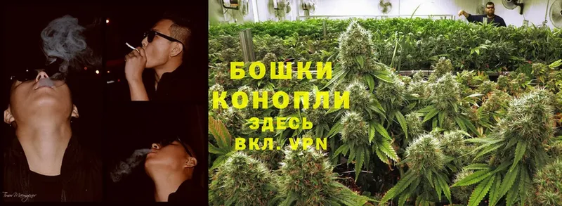 купить  цена  Карачев  Конопля White Widow 